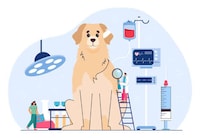 Digital Canine Blood Registries Image 1