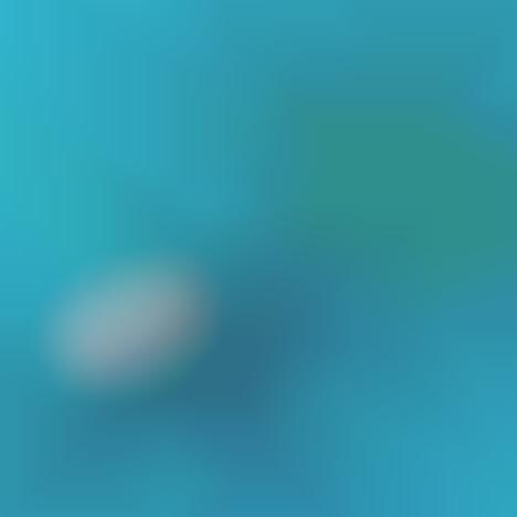 Luxurious CBD Skincare