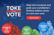 Dispensary-Friendly Voting Campaigns