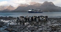 Breathtaking Cruise Promotions Image 3