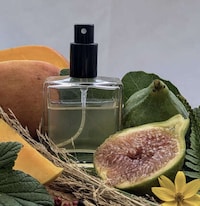 Cozy Island-Inspired Fragrances Image 1
