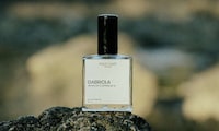 Cozy Island-Inspired Fragrances Image 2