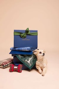 Comfy Pet-Inspired Blankets Image 1