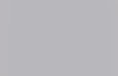 Thematic Denim Collections