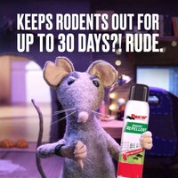 Influencer-Inspired Ads Image 3