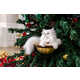 Cat-Friendly Holiday Trees Image 1