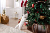 Cat-Friendly Holiday Trees Image 2