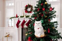 Cat-Friendly Holiday Trees Image 3