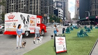 Breed-Specific Puppy Pop-Ups Image 1