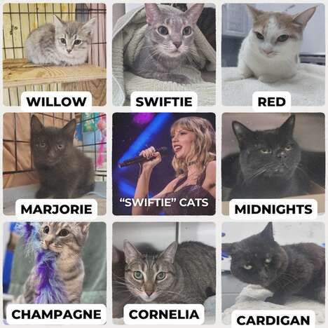 Pop Star-Themed Animals