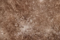 Featherlight Ultra-Rare Down Jackets Image 3