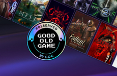 Game Preservation Initiatives