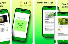 AI Plant Identifier