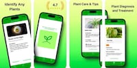 AI Plant Identifier Image 1