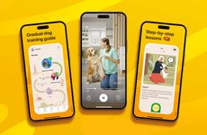 Expert-Led Dog Training Apps