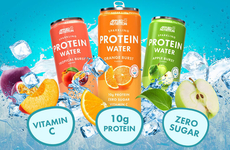 Effervescent Protein-Enhanced Waters