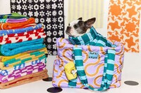 Boldly Designed Pet Accessories Image 2