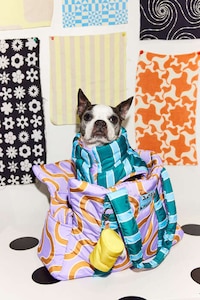 Boldly Designed Pet Accessories Image 3