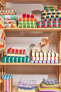Boldly Designed Pet Accessories Image 4
