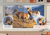 Crisp eCommerce Brand TVs Image 2