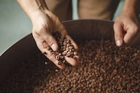 Proprietary Brewing Cold Coffees Image 1