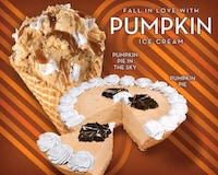 Pumpkin Pie Ice Creams Image 2