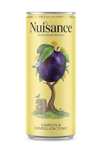 Sparkling Dandelion Tonics Image 1