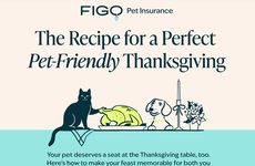 Pet-Protecting Holiday Insurance