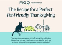 Pet-Protecting Holiday Insurance Image 1