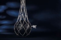 Luxurious Sporting Statement Pieces Image 1
