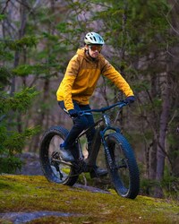 Winter-Ready Electric Fatbikes