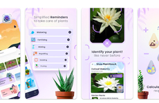 AI-Powered Plant Care Assistants