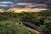 Luxurious Rainforest Resorts Image 5