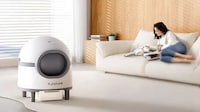 Intelligent Odor-Free Litter Boxes Image 1