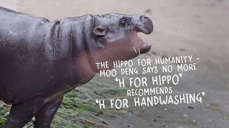 Hygienic Hippo Campaigns