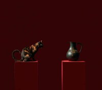 Pet-Equality Campaigns