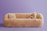 Pet-Equality Campaigns Image 2