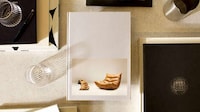 Pet-Equality Campaigns Image 3