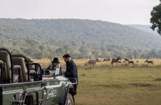 Eco-Conscious Safari Experiences