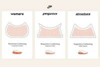 Athletic Performance Essentials Image 2
