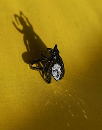 Bug-Inspired Jewelry Image 1