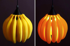 Fruit-Inspired Lighting Solutions