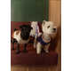 NBA-Themed Dog-Friendly Collections Image 2