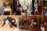NBA-Themed Dog-Friendly Collections Image 4