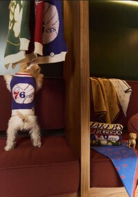 NBA-Themed Dog-Friendly Collections Image 5