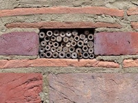 Bee-Habitual Rural Homes Image 4