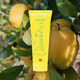 Apple-Citrus Toothpastes Image 1