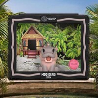 Viral Hippo Toys Image 1