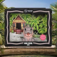 Viral Hippo Toys