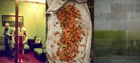 Hospitality-Focused Cultural Initiatives Image 1